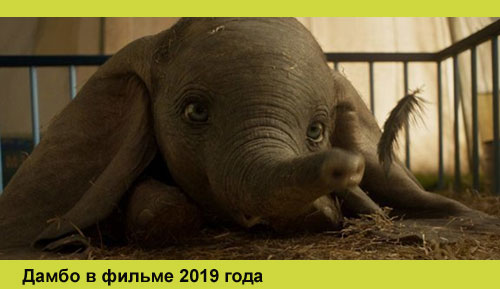 Дамбо Дамбо 2019