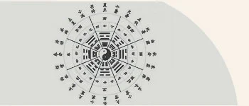 Китайский календарь, какого числа встречать Новый 2025 год Змеи